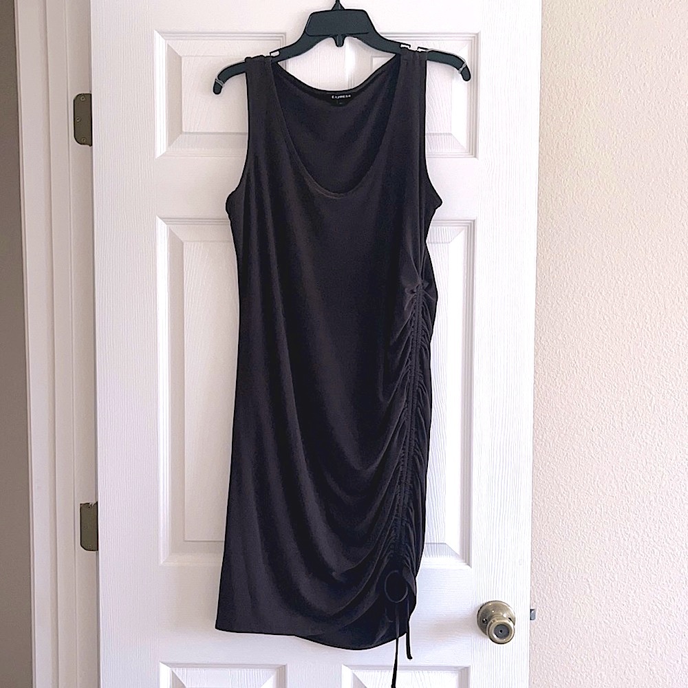 Express Chocolate Brown Stretch Dress
